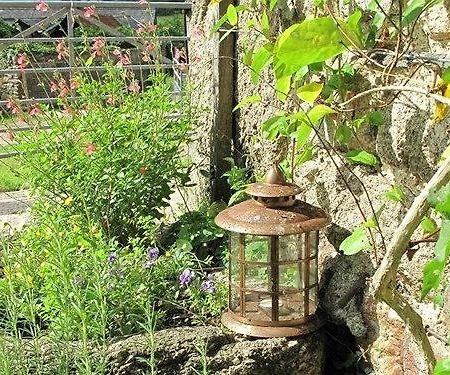 Lowertown Farm B&B Widecombe in the Moor エクステリア 写真
