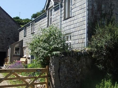 Lowertown Farm B&B Widecombe in the Moor エクステリア 写真